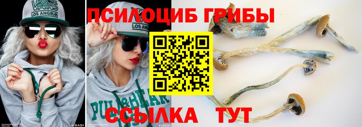 Галлюциногенные грибы Psilocybine cubensis  Вход с VPN  Зима 